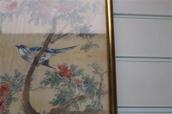 Chinese School, pair of gouache on silk, Studies of birds on flowering trees, 80 x 34cm